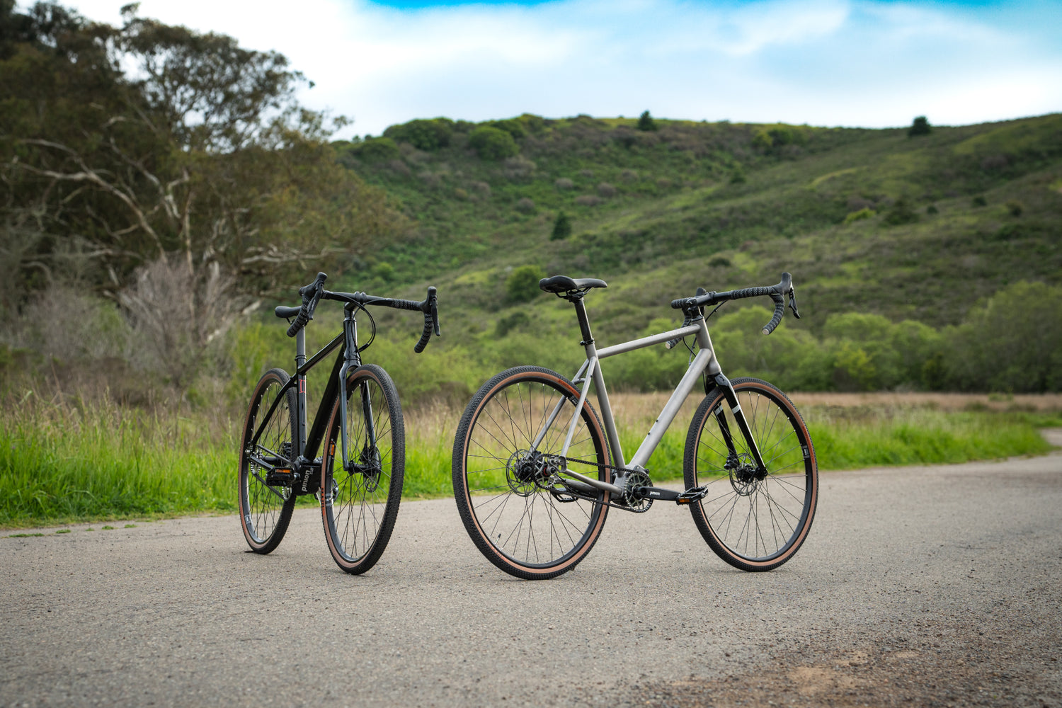 Priority Gemini with Pinion Smart.Shift Technology