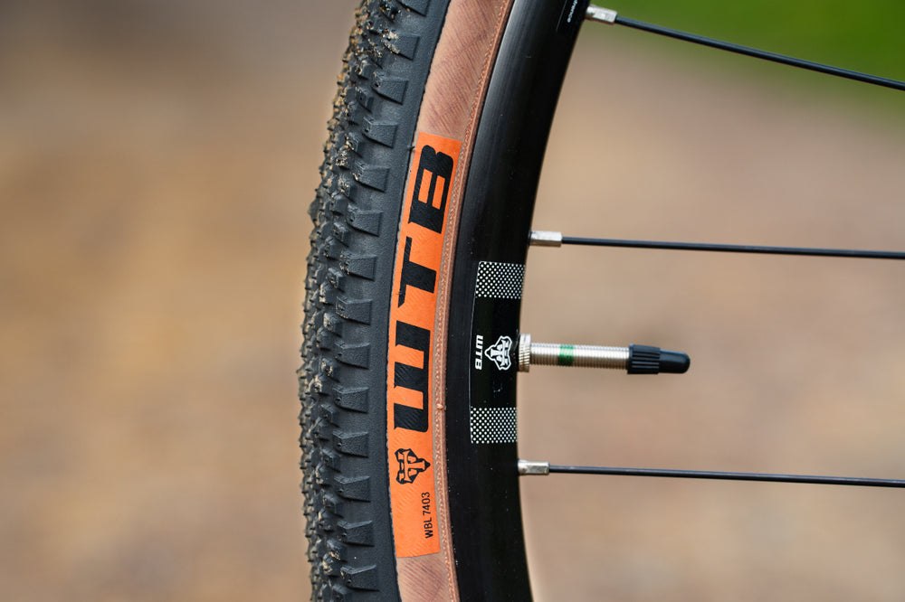 Priority Gemini WTB Wheels and Tires